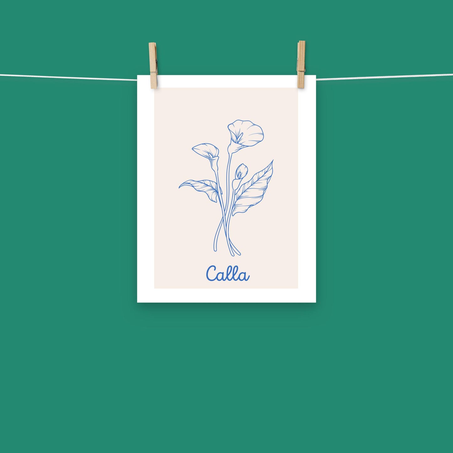 Poster - Calla