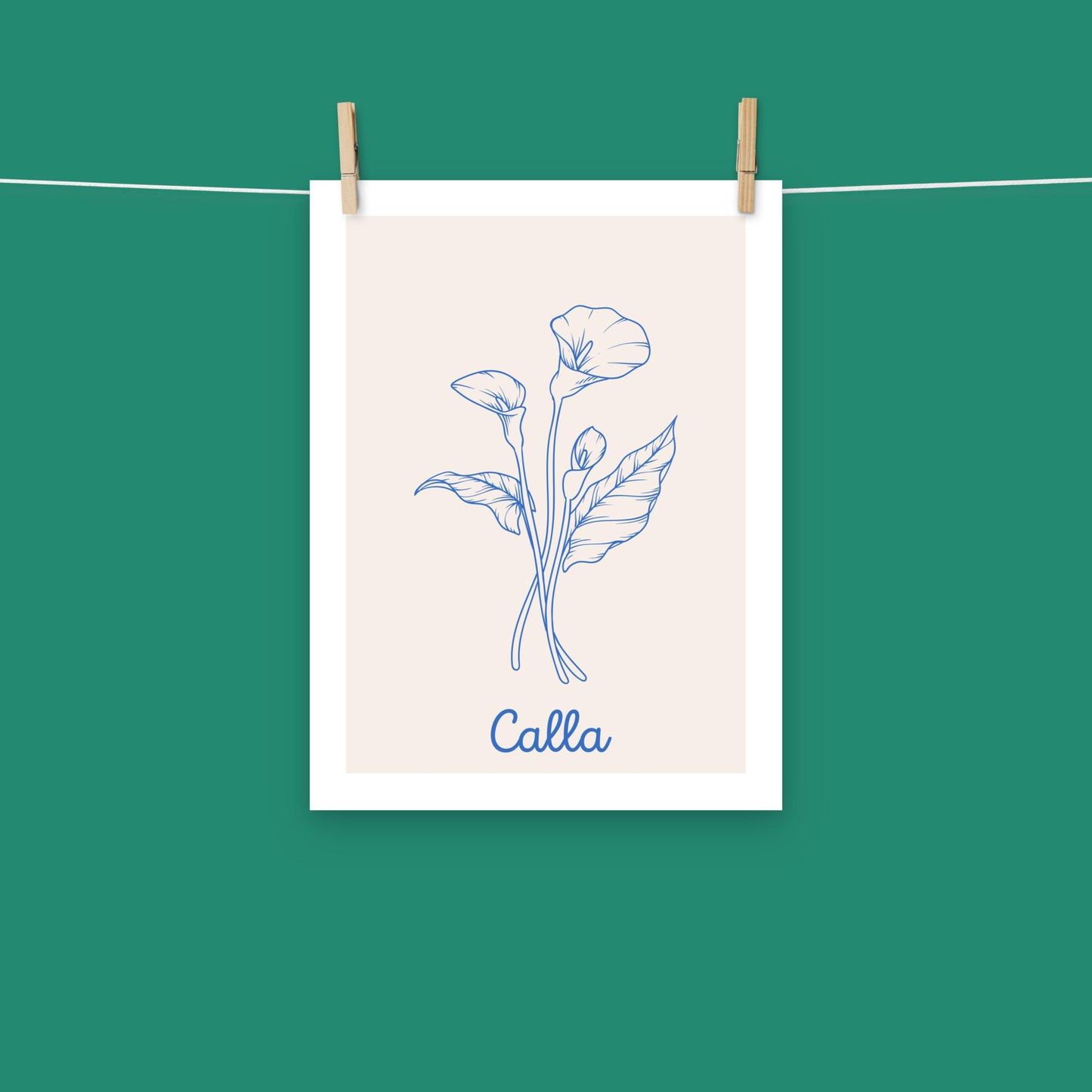 Poster - Calla