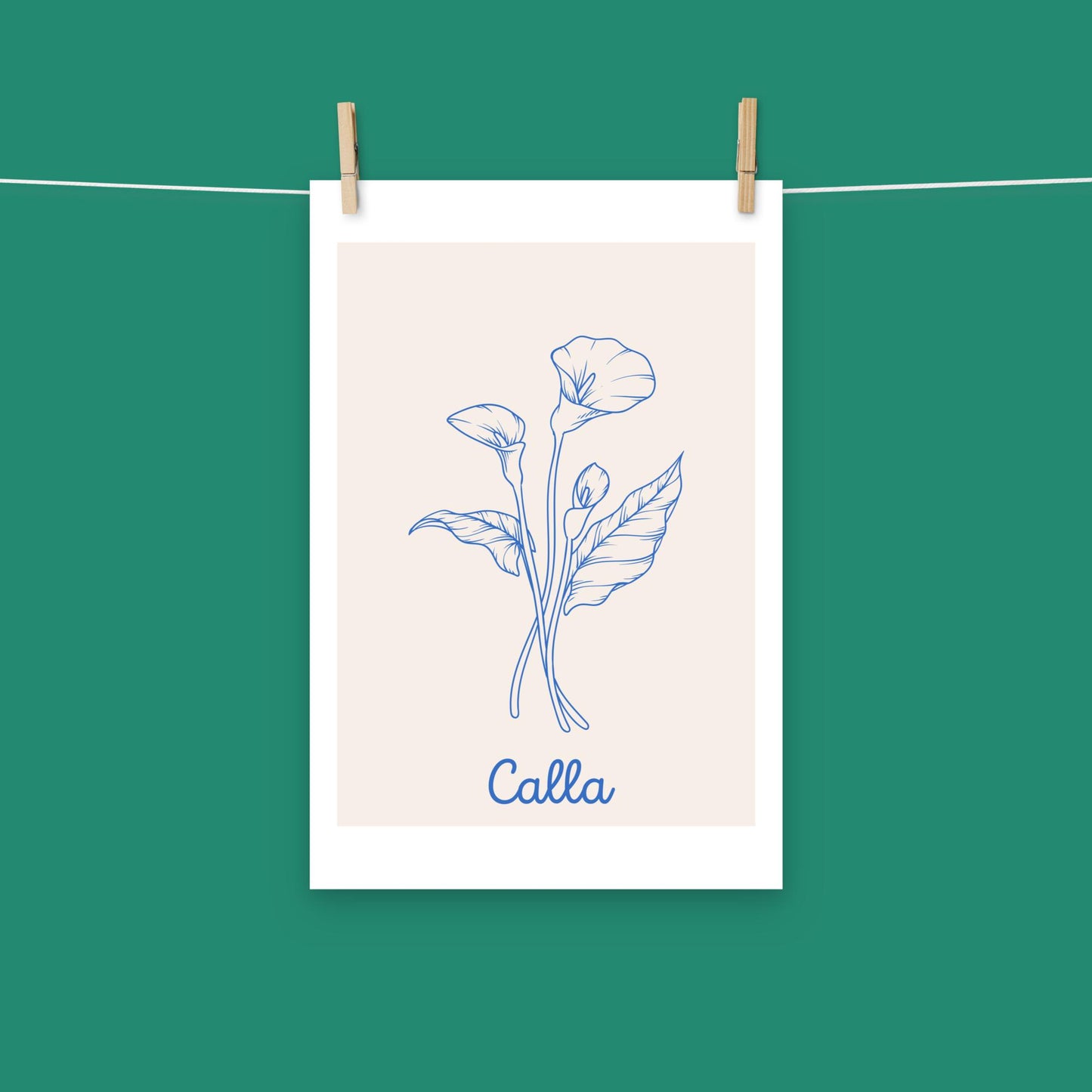 Poster - Calla