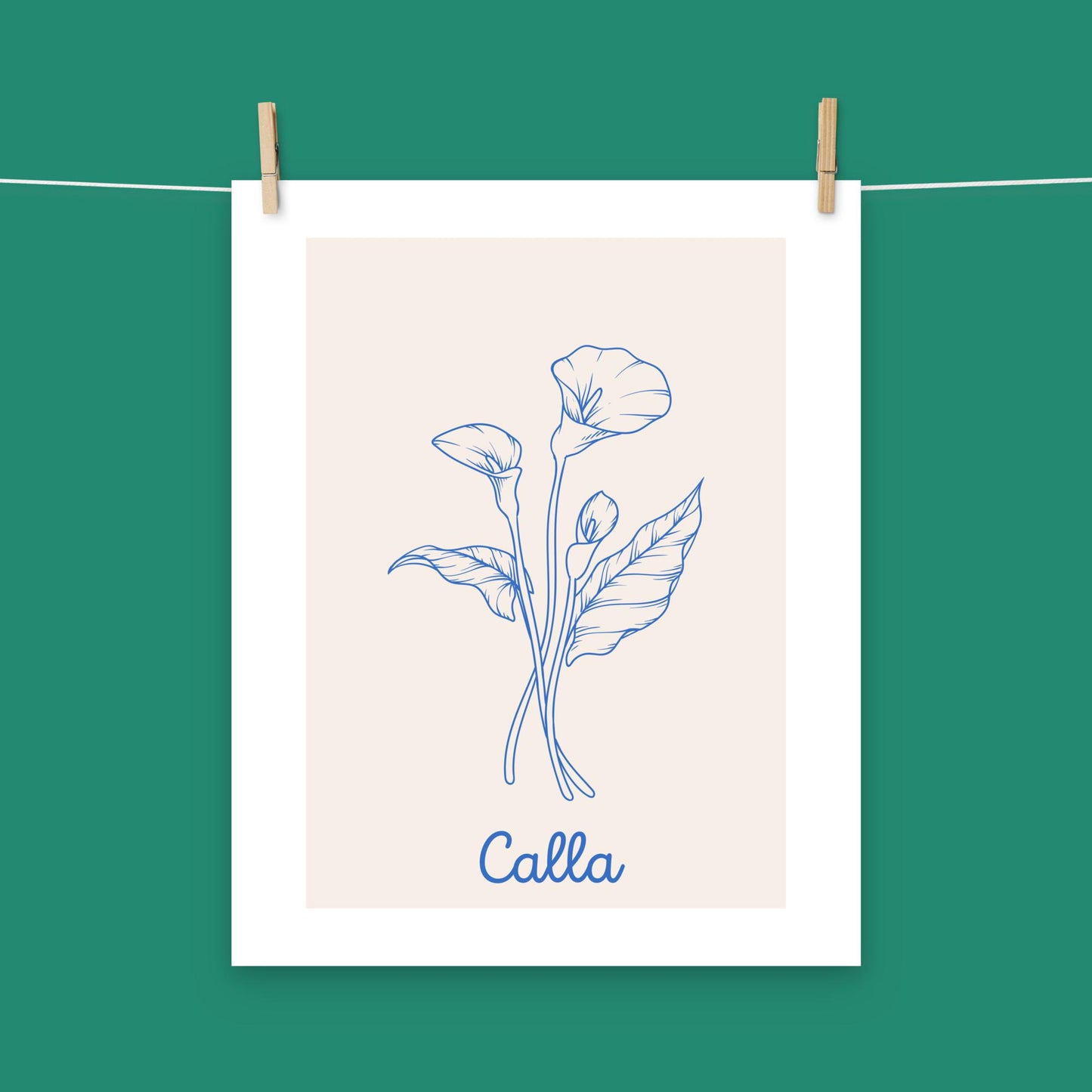 Poster - Calla