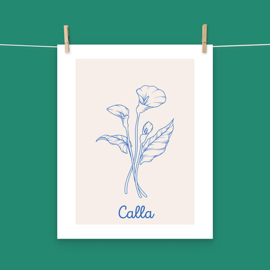 Poster - Calla