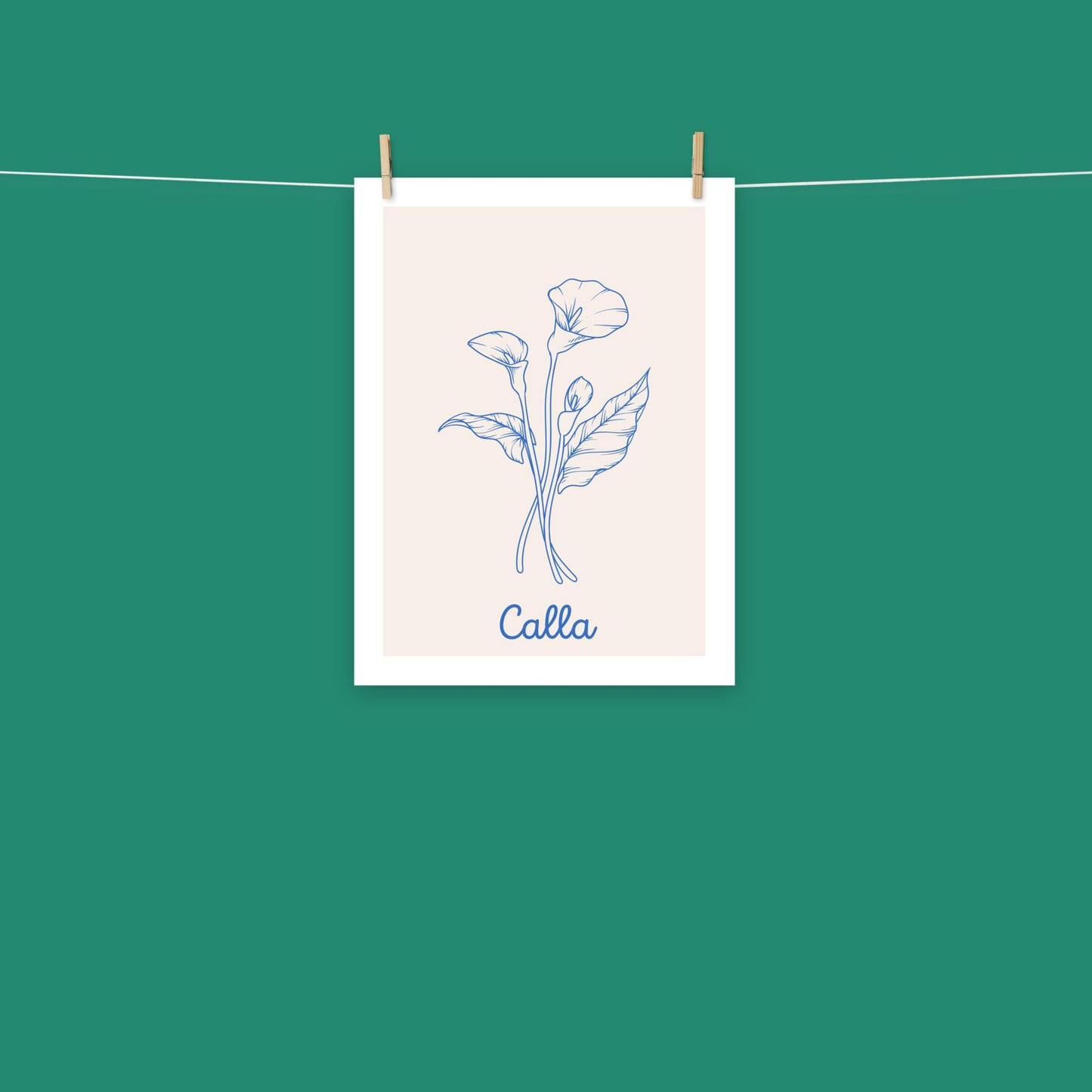 Poster - Calla