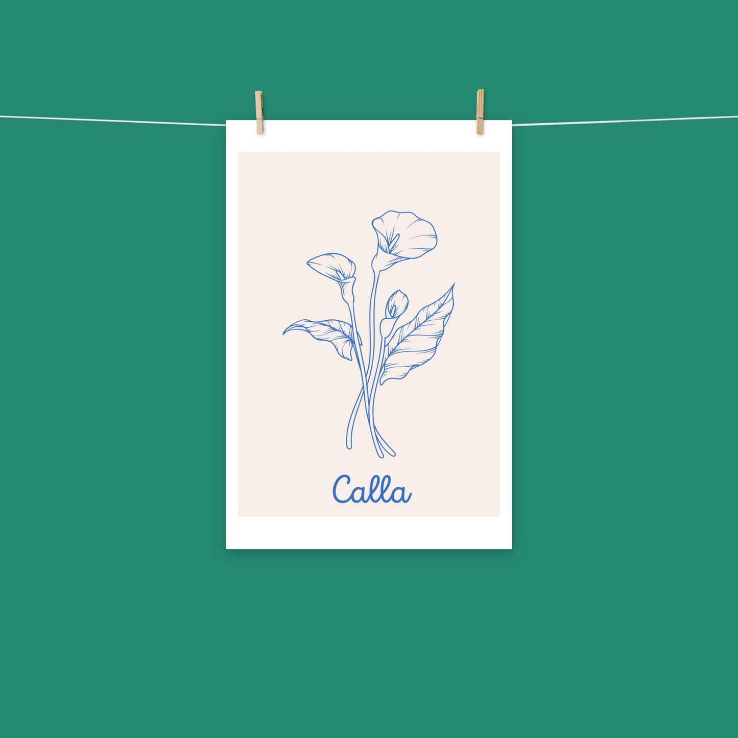 Poster - Calla