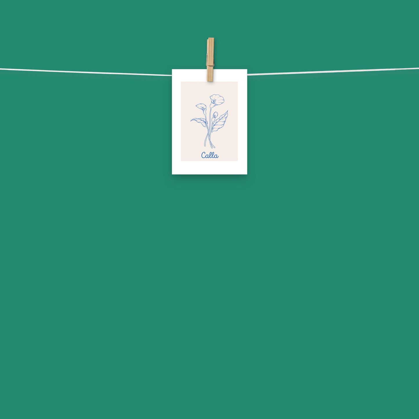 Poster - Calla