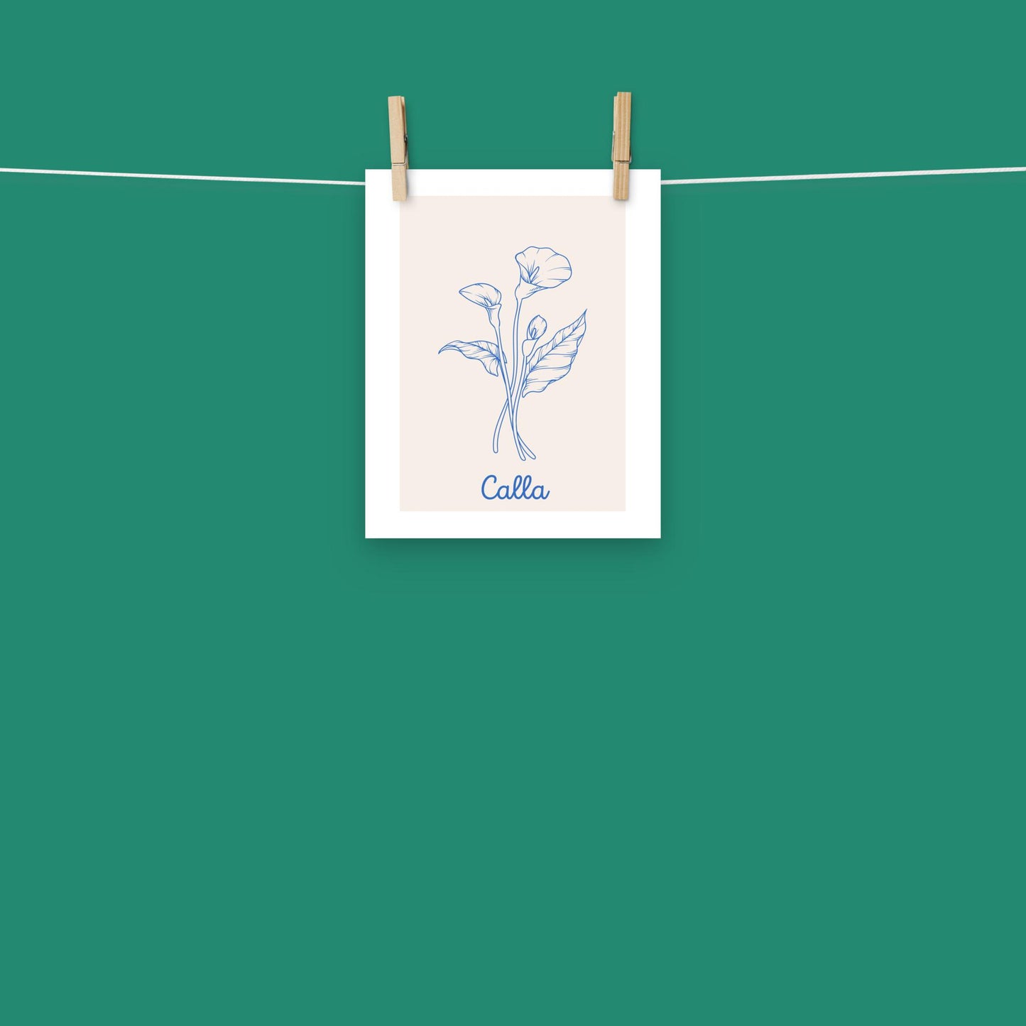 Poster - Calla